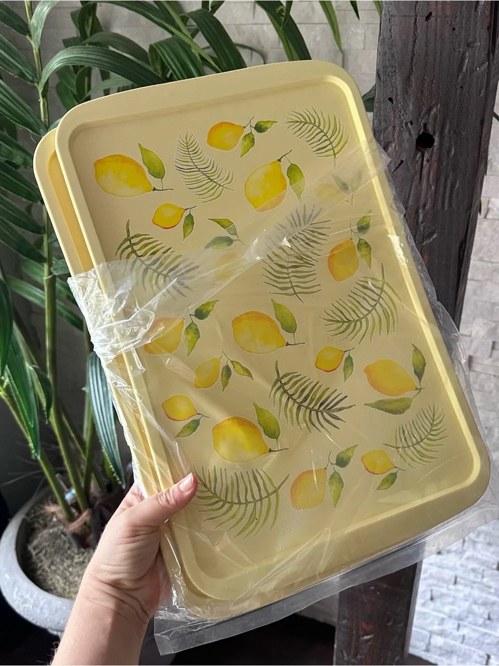 Temptations bright lemon